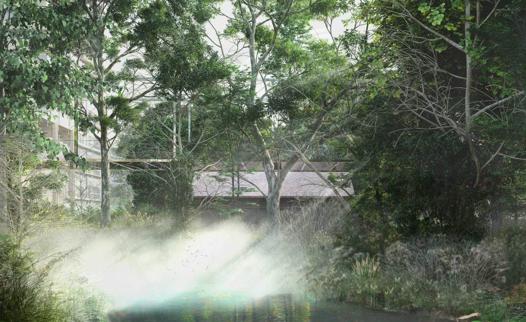 Lebensraum Teich mit Gasbahnpromenade